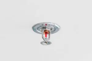 Automatic fire sprinkler head on a white ceiling.